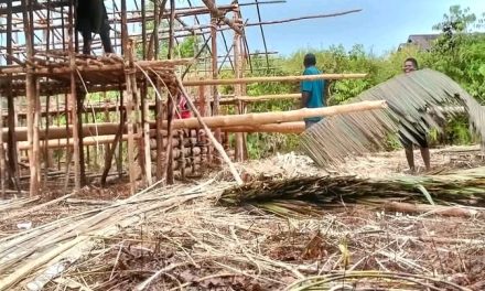 Rumah Adat Samu Wohah Dipersiapkan Sambut Peresmian Gereja Katolik Stasi St. Yohanis Rasul Konja