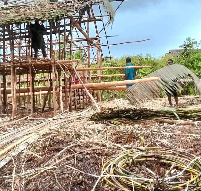 Rumah Adat Samu Wohah Dipersiapkan Sambut Peresmian Gereja Katolik Stasi St. Yohanis Rasul Konja